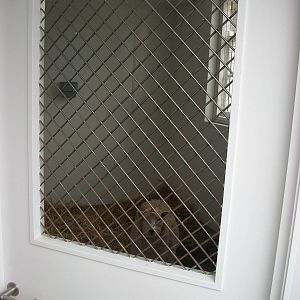 Safe for the night, 13th April 2014