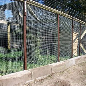 End of pheasant pens nicely tidied up, 14th April 2014