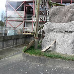 Orangutan Exhibit Construction at Blackpool Zoo, 13/04/14