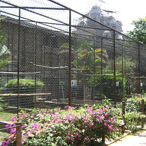 raptor aviaries