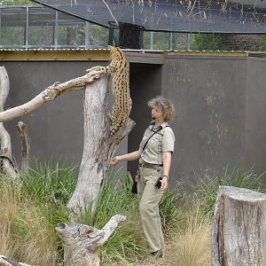 Showing her climbing skills