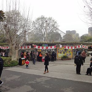 Overview of Golden Snub Nosed Monkey Exhibit