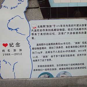 Signage for Polar Bear