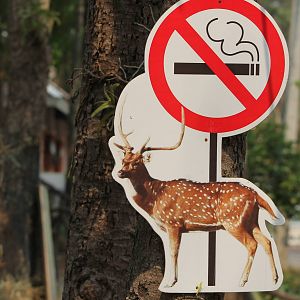 no smoking sign