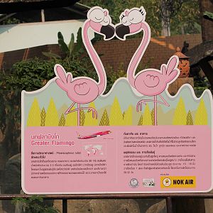 flamingo signage