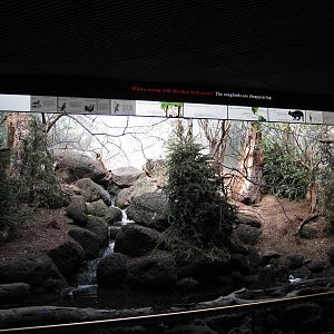 Coniferous Forest Exhibit, World Of Birds - Apr 2014