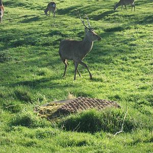 Turn back - that could be your plinth, 18th April 2014