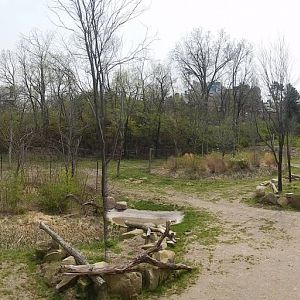 Apr. 2014 - Giraffe Ridge - Masai Giraffe Exhibit Panorama