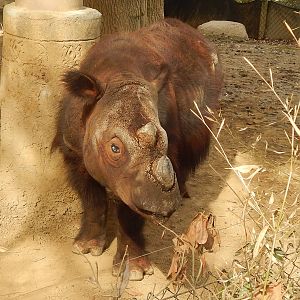 Apr. 2014 - Wildlife Canyon - Harapan