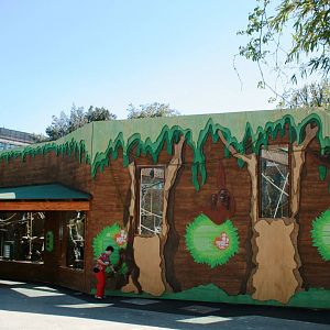 New orangutan outdoor exhibit