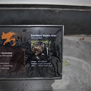 Kiwi Sign - Apr 2014