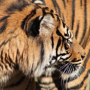 Joao - 13th April 2014