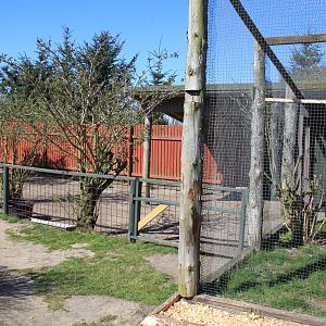 Ring-necked Parakeet Aviary + Reindeer Enclosure