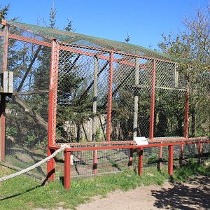 Serval Enclosure