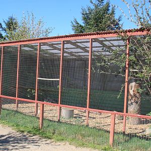 Serval Enclosure