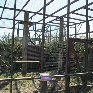 Pig-tailed Macaque Enclosure