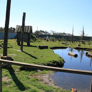 Barbary Macaque Enclosure