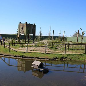 Barbary Macaque Enclosure