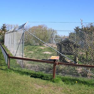 Red Fox Enclosure