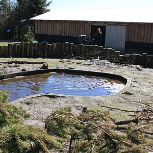 Coypu Enclosure