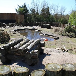 Coypu Enclosure