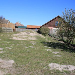 Red Kangaroo and Bennett's Wallaby Enclosure