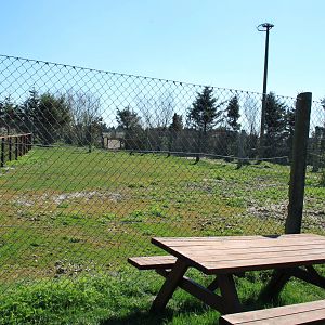 Deer Enclosure