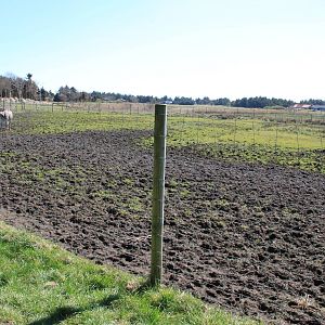 Zebra and Ostrich Enclosure
