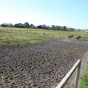 Zebra and Ostrich Enclosure