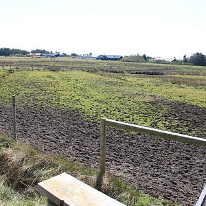Zebra and Ostrich Enclosure
