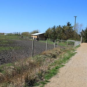 Zebra and Ostrich Enclosure