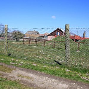 Deer Enclosure