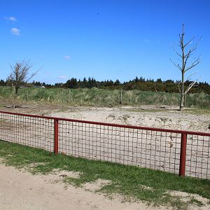 Reindeer Enclosure
