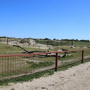 Reindeer Enclosure