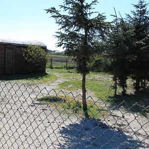 Deer Enclosure