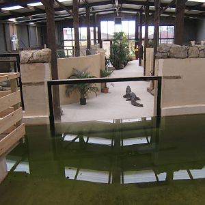 View inside Large Crocodile House