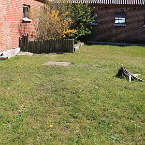 African Spurred Tortoise Enclosure