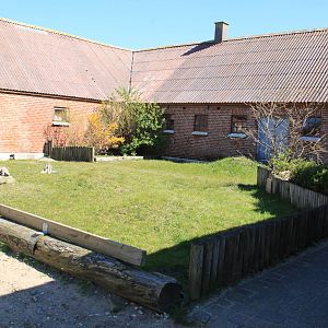 African Spurred Tortoise Enclosure