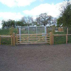 View of Giant Anteater enclosure