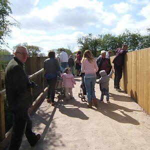 View of Giant Anteater viewing platform