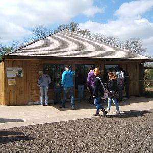 View of Giant Anteater House
