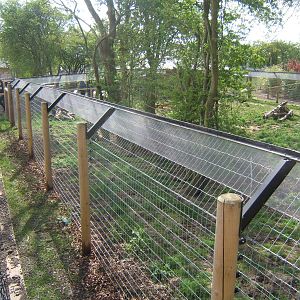 View of Giant Anteater/Coati enclosure