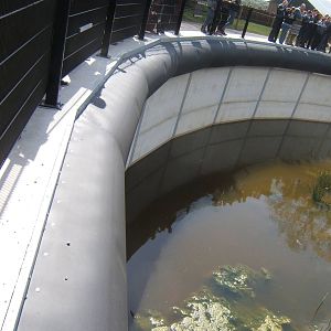 View of Guinea Baboon enclosure barrier