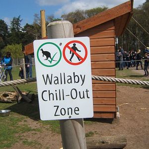 Sign in the Wallaby walk through enclosure