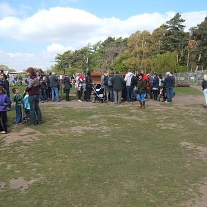 View in the Wallaby walk through enclosure