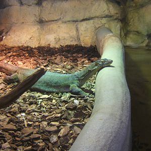 Mertens Water Monitor