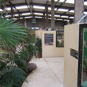 View inside the Large Crocodile House