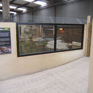 View of the Siamese Crocodile exhibit