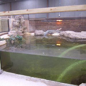 View of the Siamese Crocodile exhibit