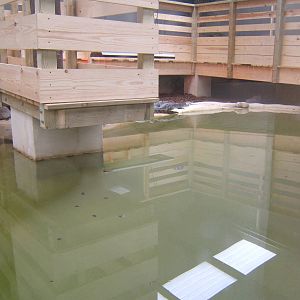 View of the South African Nile Crocodile exhibit
